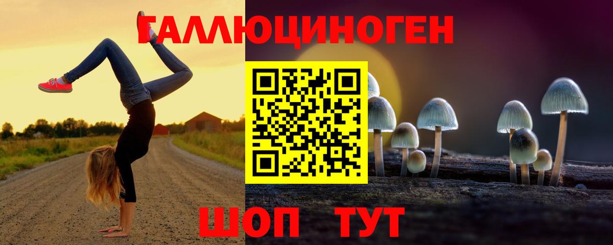 Галлюциногенные грибы прущие грибы  Вход с VPN  Тамбов 