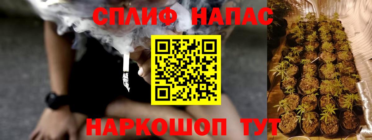 МАРИХУАНА планчик Тамбов
